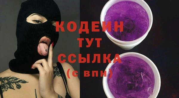 дмт Корсаков