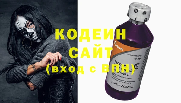 дмт Корсаков