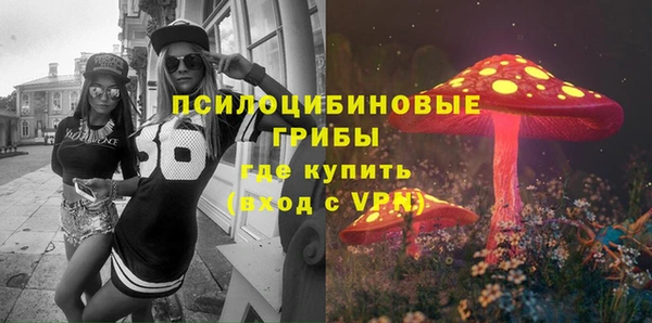 дмт Корсаков
