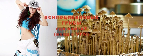 дмт Корсаков